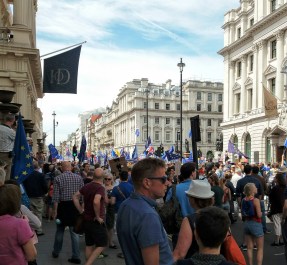 protests against trump 2.jpg