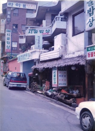 Korea vege 2 001 (2)